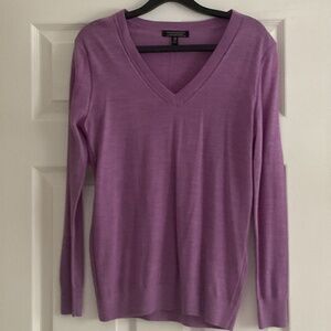 Banana Republic Womens 100% Merino Wool Sweater Size XS Purple V Neck